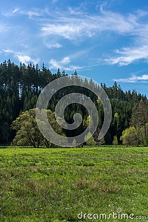 Forest landscape, nature of the Elb Sandstone Mountains Stock Photo