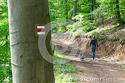 Forest sign directions decide summer europe path road tree orientation girl dog Stock Photo