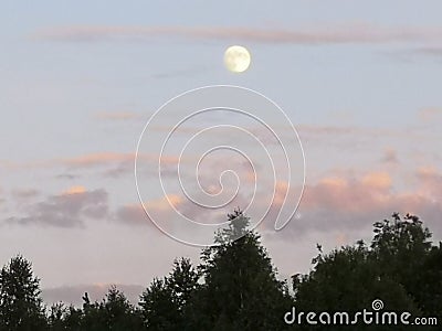 Forest sky moon evening clumps Stock Photo