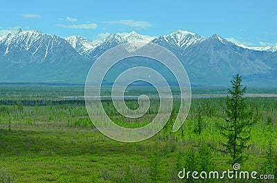 Forest, sky, snowy mountains, green valley and river - siberian alphs Stock Photo