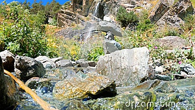 forest spring or brook at summertime, green frondage, high trees and stones - photo of nature Stock Photo