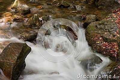 Forest Stream Stock Photo