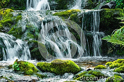 Waterfall among mossy rocks and greenery. Mountain river on summer day. Nature landscape with Stock Photo