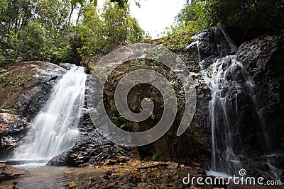 Forest stream waterfall. Waterfall mossy rocks Stock Photo