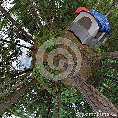 Forest Tent Camping Stock Photo