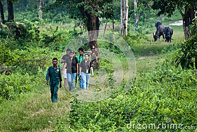 Forest tourism Editorial Stock Photo