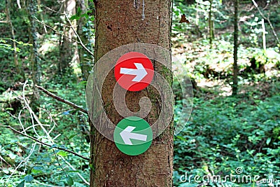 Forest trail Directions Stock Photo