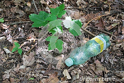 forest trash summer outside polute earh ecology Stock Photo