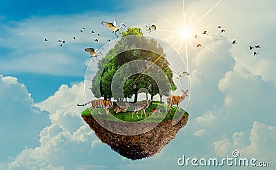 Forest tree Wildlife tiger Deer Bird Island Floating in the sky World Environment Day World Conservation Day Earth Day Stock Photo