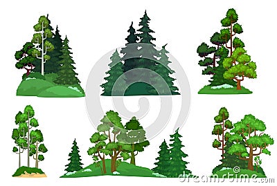 Forest trees. Green fir tree, forests pine composition and isolated trees cartoon vector illustration set Vector Illustration