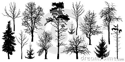 Forest trees without leaves. Winter trees set, silhouette vector. Ð¡ollection of isolated tree trunks with knots Vector Illustration