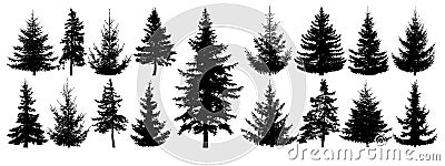 Forest trees set. Isolated vector silhouette. Coniferous forest. Vector Illustration