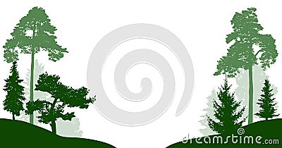 Forest trees set vector silhouette. Wood isolated on white background. Trees in the park pass through the road or river. Vector Illustration