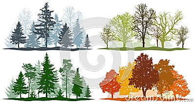 Forest trees winter spring summer autumn. 4 seasons vector illustration Vector Illustration