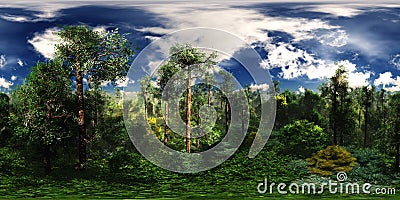 Forest under the sky with clouds, HDRI, environment map Stock Photo