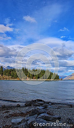 Forest view at lake Wakatipu in Queenstown, New Zealand Stock Photo