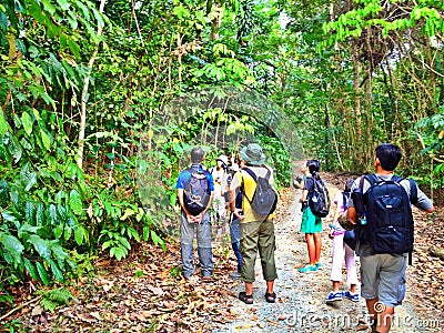 Forest walk in Pulau Ubin Editorial Stock Photo