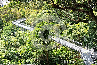 Forest Walk of Telok Blangah Hill Park rainforest Stock Photo