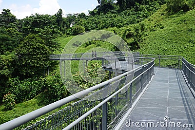 Forest Walk of Telok Blangah Hill Park rainforest, Singapore Editorial Stock Photo