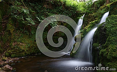 Forest waterfall Stock Photo