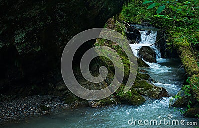 Forest waterfall Stock Photo