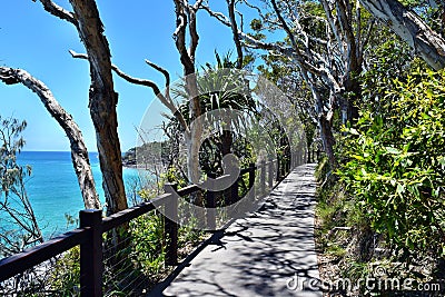 Forest way trail with an amazing ocean scenery at Noosa National Park Stock Photo