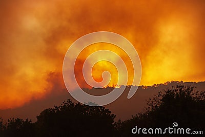 Forest wildfire at night with silhouettes of trees against dramatic red sky Stock Photo