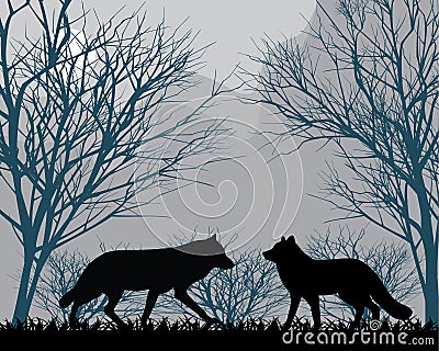 Forest wolves Vector Illustration