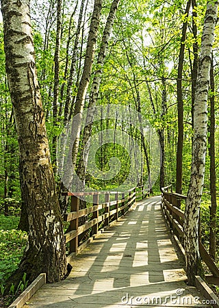 Forest wooden bridge pathway scenery on a sunny spring summer day with grass alive trees and green leaves at branches at a park b Stock Photo