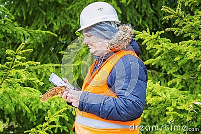Forest worker with withered branch and tablet PC Stock Photo