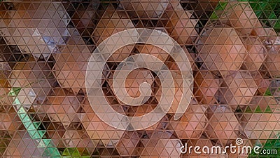 Forest Young Brown Mushrooms Abstract Art Stock Photo