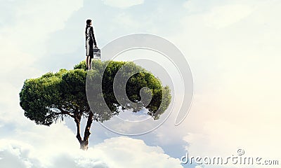 Forestation as ecologyy solution Stock Photo