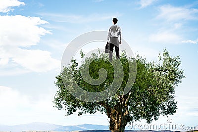 Forestation as ecologyy solution . Mixed media Stock Photo