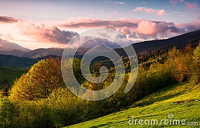 Forested hill at cloudy sunset in springtime Stock Photo