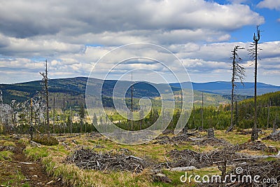 The forested, hilly landscape near Lake Laka, Å umava, Czech Republic Stock Photo