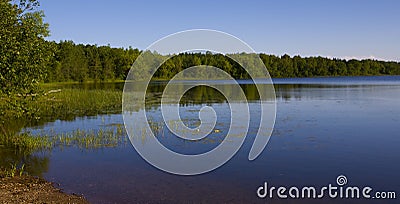 Forested Shoreline Stock Photo
