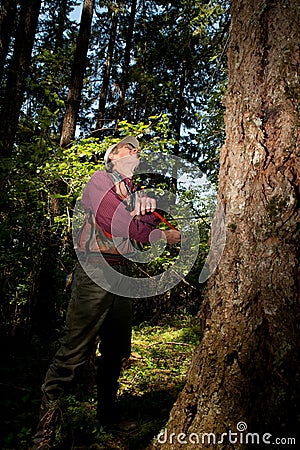 Forester in a Pacific Northwest Stock Photo
