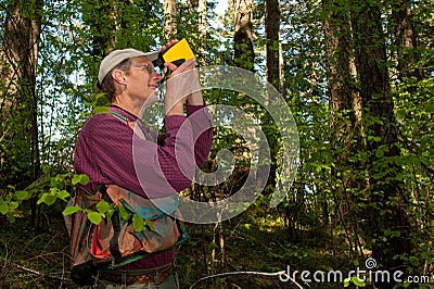 Forester in a Pacific Northwest Stock Photo