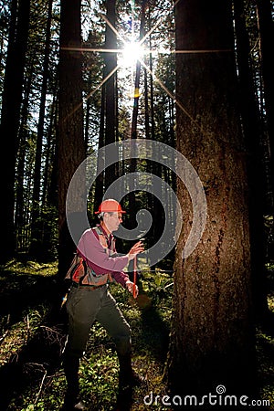 Forester in a Pacific Northwest Stock Photo