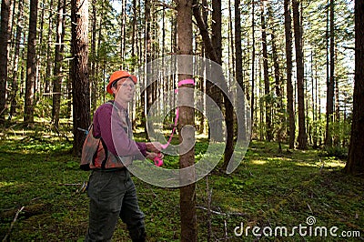 Forester in a Pacific Northwest Stock Photo