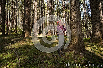 Forester in a Pacific Northwest Stock Photo