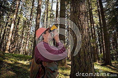 Forester in a Pacific Northwest Stock Photo