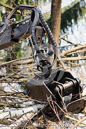 Forestry grapple Stock Photo