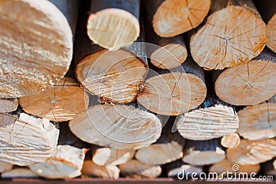 Forestry industry tree felling Stock Photo