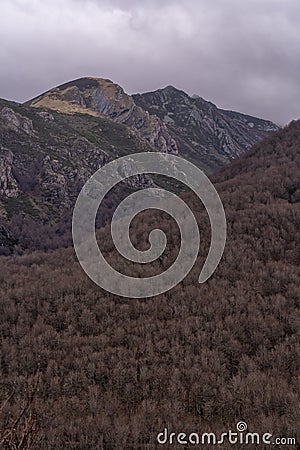 Forests of Posada de Valdeon in the Picos de Europa National Park in Spain Stock Photo