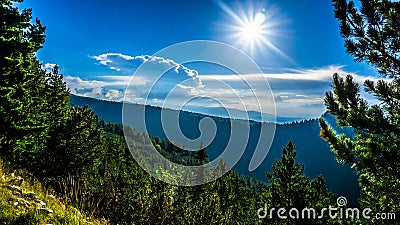 The Forests Of Rila Mountain Stock Photo