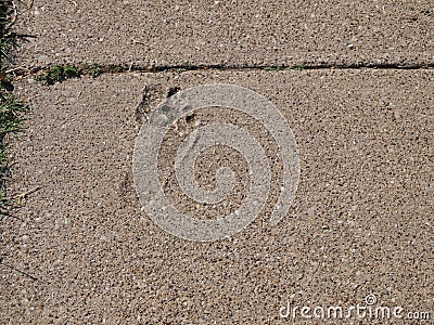 Forever Marked Sidewalk Stock Photo