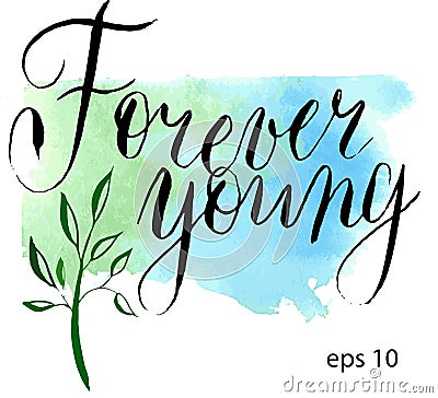 Forever young in vector. Calligraphy postcard or poster graphic design lettering element. Hand written calligraphy style Vector Illustration