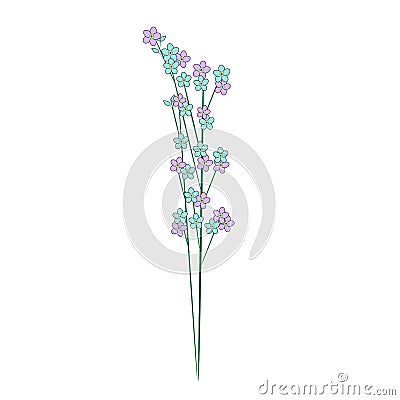 Forget - me-a bouquet of flowers Vector Illustration