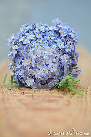 Forget-me-not bouquet Stock Photo